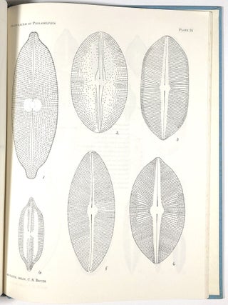 The Diatomaceae of Philadelphia and Vicinity