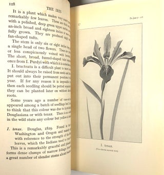 A Handbook of Garden Irises