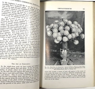 Fritz Bahr's Commercial Floriculture: A Practical Manual for the Retail Grower