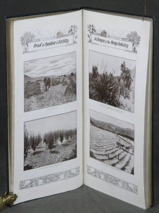Progressive New Zealand: An Authentic, Comprehensive Illustrated Work of Reference on All Aspects of the National Life of New Zealand, the Astonishing Progress During Eighty-Five Years (1840-1924), the Remarkable Natural Resources, Scenic Grandeur, Pleasant Climate, Trade and Industry, Transport Systems, State Activities and Policy for Development of the Country, and the Present Opportunities and Assured Prospects for an Increasing Prosperity of "The Brighter Britain of the South."