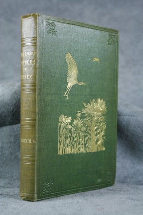 Item #C00006745 Ornithological Rambles in Sussex. A. E. Knox