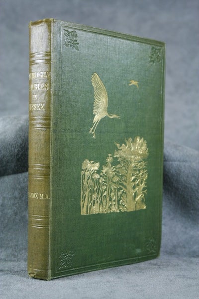 Item #C00006745 Ornithological Rambles in Sussex. A. E. Knox.