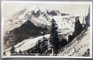 Item #H11302 Ca. 1910s Real Photo Postcard: Rainier National Park...Paradise, Where Flowers and...