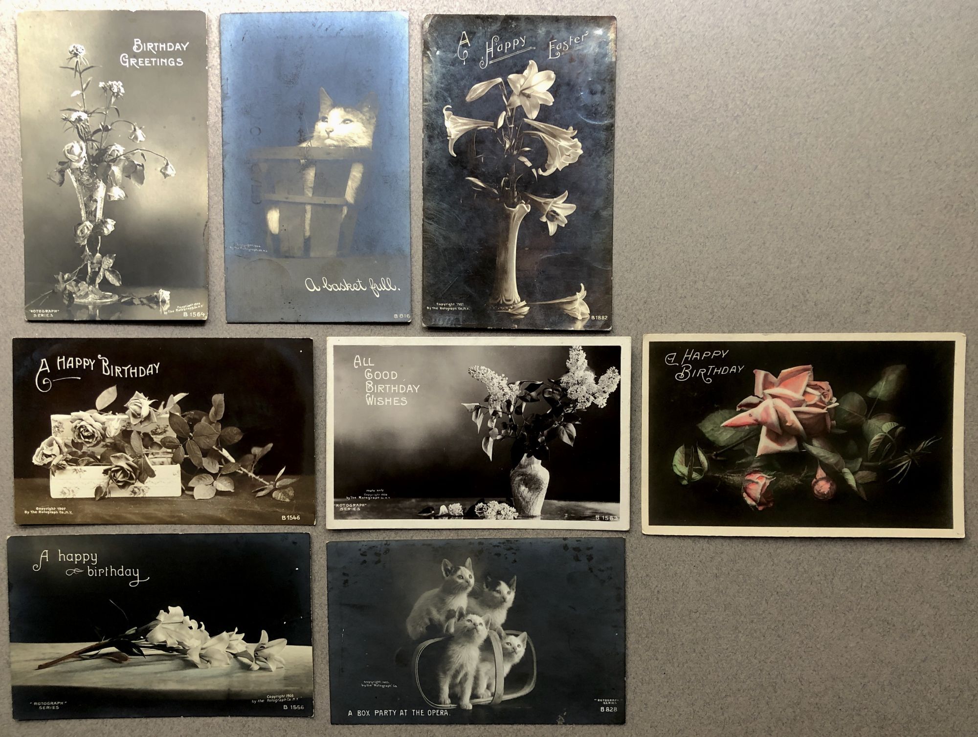 8 early 1900s Real Photo Postcards by the Rotograph Company on Bromide ...