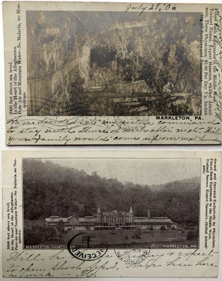 Item #H11799 2 1907 postcards of giant anthills in Altoona, PA