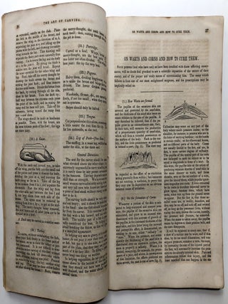 Facts for the People: or Every One's Book, to which is added an appendix: An Account of the Wealthy Families in New-York, Philadelphia and Boston