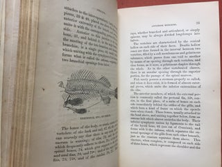 The Rod and the Gun, being Two Treatises on Angling and Shooting by James Wilson, and by the Author of "The Oakleigh Shooting Code"