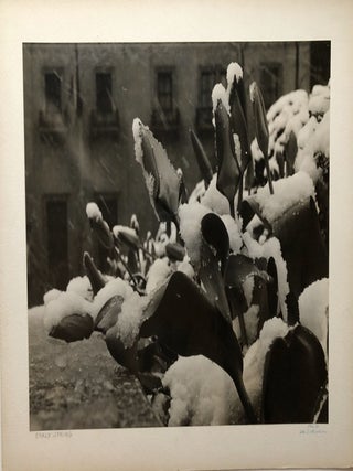 Item #H15047 Original 17 x 13" 1960 gelatin silver photograph, "Early Spring" John L. Alexandrowicz