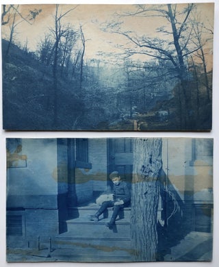 13 1886 photos of "Woodside" - Residence of Richard S. Waring - at Forbes & Halket, Pittsburgh, including 10 cyanotypes