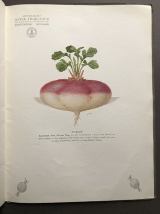 1916 catalogue: Choices Selected Danish Clover Seeds, Grass Seeds, Root Seeds, Seed Grains