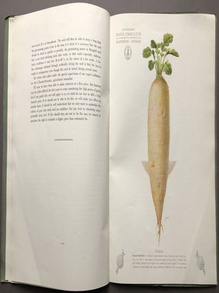 1916 catalogue: Choices Selected Danish Clover Seeds, Grass Seeds, Root Seeds, Seed Grains