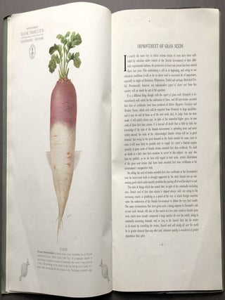 1916 catalogue: Choices Selected Danish Clover Seeds, Grass Seeds, Root Seeds, Seed Grains