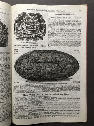 Ford's Sound Seeds, 1909 catalog