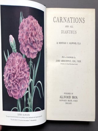 Carnations and All Dianthus