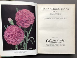 Carnations, Pinks and All Dianthus