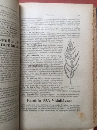 Botanica Descriptiva, Compendio de la Flora Española, Tercera Edicion, Corregida y Aumentada, 3 volumes, 1920-1921, flame calf