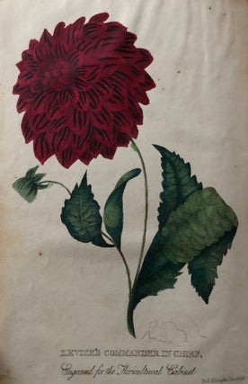 The Floricultural Cabinet, and Florist's Magazine (1833, 1834, part of 1835)