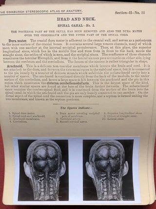 Stereoscopic Studies of Anatomy Prepared under the Authority of the University of Edinburgh: SECTION 2: Central Nervous System (Continued), Head and Neck