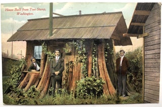 Item #H8649 1910 postcard: House Built from a Tree Stump, Washington state