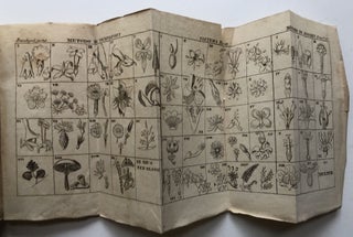 Compendio di botanica contenente organografia e tassonomia, o sia, Descrizione di tutti gli organi e delle loro modificazioni ed esposizione dei sistemi e metodi di classificazione ...