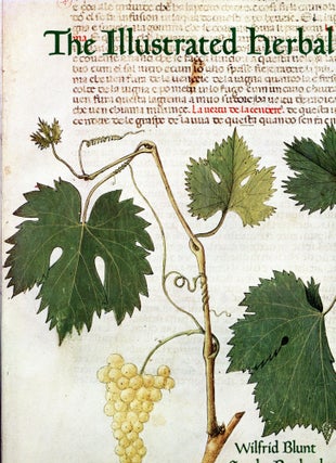 Item #s00033293 The Illustrated Herbal. Wilfrid Blunt, Sandra Raphael