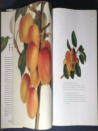 Fruit: An Illustrated History