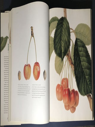 Fruit: An Illustrated History