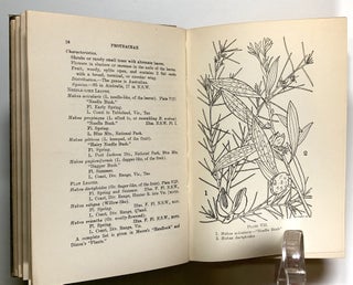 A Popular Guide to the Wild Flowers of New South Wales, Vol. I