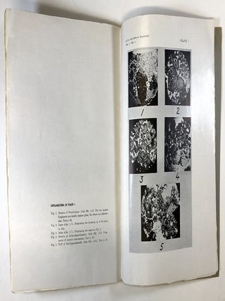 Origin of the Basic Tuffs of Iceland (Acta Naturalia Islandica, Vol. I- No. I)