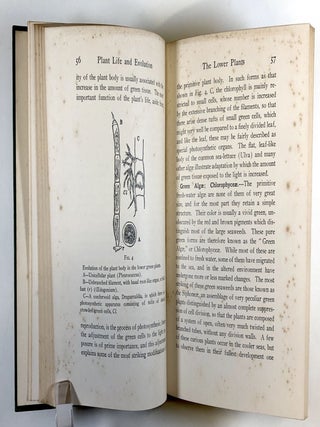 Plant Life and Evolution