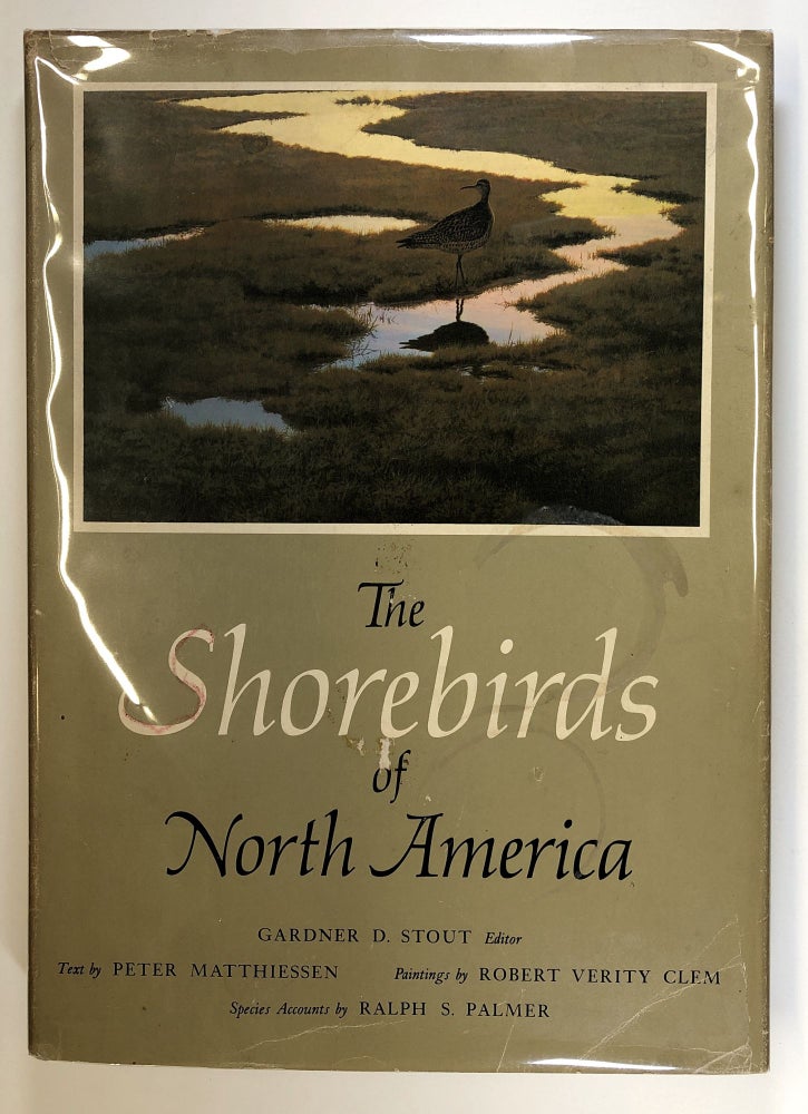 Item #C000019774 The Shorebirds of North America. Gardner D. Stout, Peter Matthiessen, Robert Verity Clem, Ralph S. Palmer, text, paintings, species accounts.