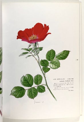Kiyohiko & Fumiko - Botanical Art Collection