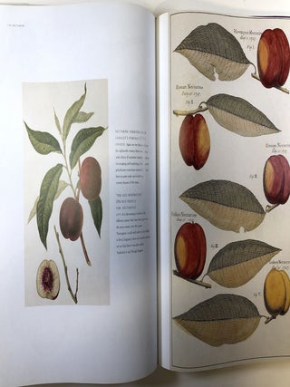 Fruit: An Illustrated History