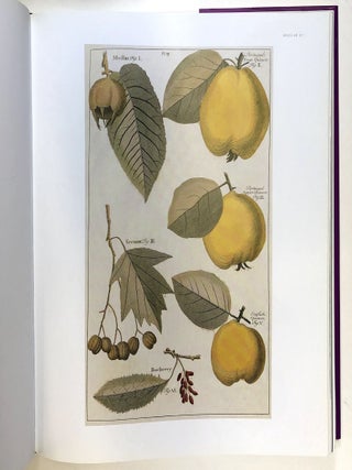 Fruit: An Illustrated History