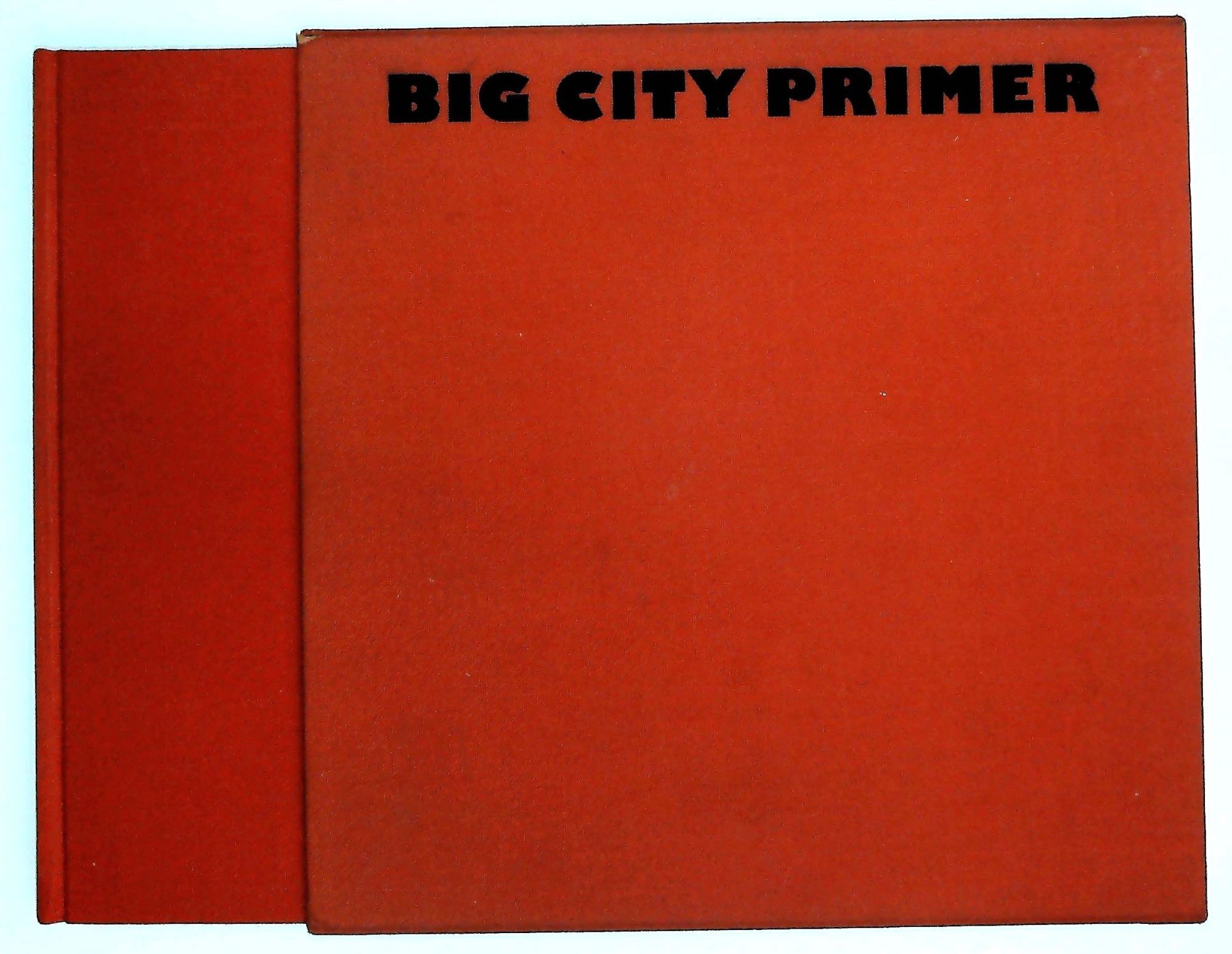 Big City Primer: Reading New York at the End of the Twentieth