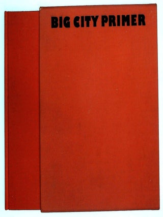 Big City Primer: Reading New York at the End of the Twentieth Century