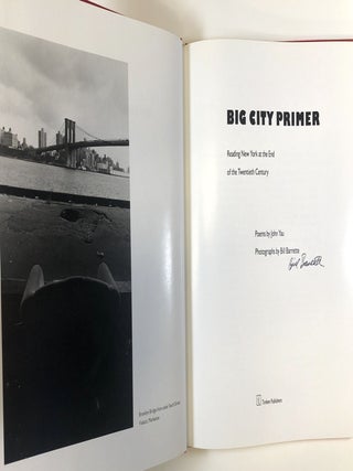 Big City Primer: Reading New York at the End of the Twentieth Century