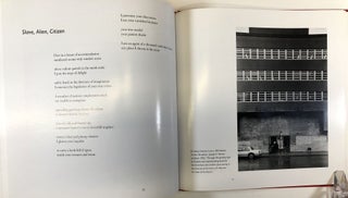 Big City Primer: Reading New York at the End of the Twentieth Century