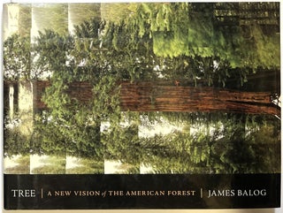 Item #d008208 Tree (mini ed.) A New Vision of the American Forest. James Balog, photo