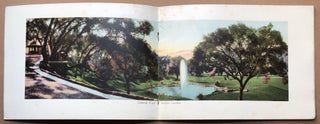 Collection of Views of Adolphus Busch's Sunken Gardens and Parks, Ivy Wall, Pasadena, Cal.