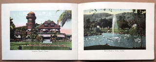 Collection of Views of Adolphus Busch's Sunken Gardens and Parks, Ivy Wall, Pasadena, Cal.