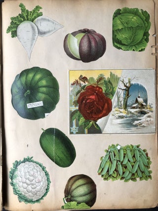 Columbian Souvenir: 1893 album of trade cards, chromolithographs, die-cuts
