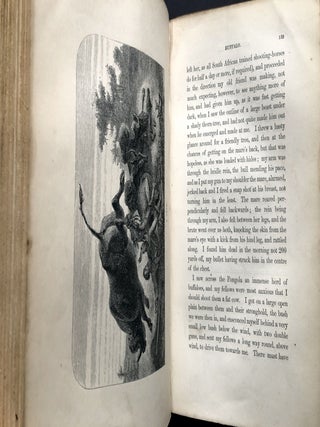 African Hunting and Adventure from Natal to the Zambesi including Lake Ngami, the Kalahari Desert, &c. From 1852 to 1860