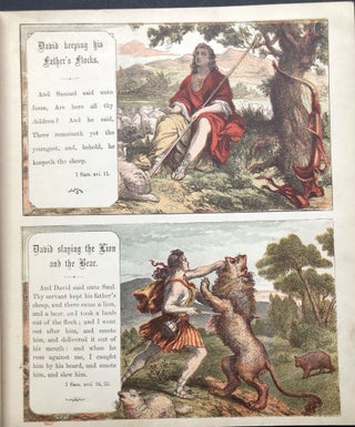 Aunt Louisa's Sunday Picture Book: Comprising Joseph and His Bretheren, The Story of King David, the Wonders of Providence, and the Proverbs of Solomon