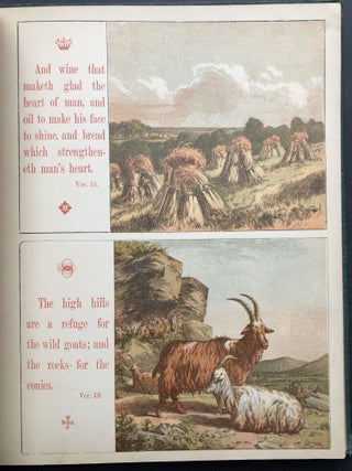 Aunt Louisa's Sunday Picture Book: Comprising Joseph and His Bretheren, The Story of King David, the Wonders of Providence, and the Proverbs of Solomon