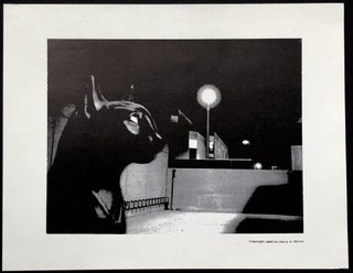 Scenes from Lautreamont's Maldoror (small portfolio of ten collages)