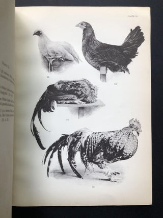Inheritance in Poultry -- inscribed to geneticist Edmund B. Wilson