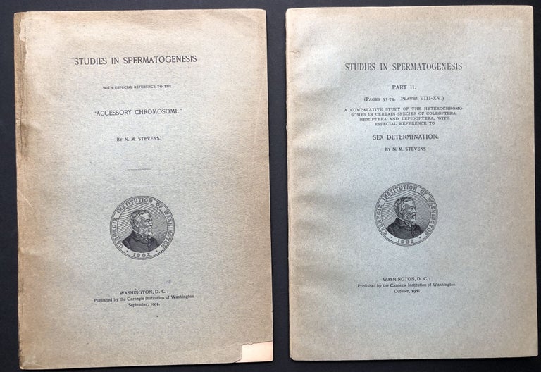 Item #H24019 Studies in Spermatogenesis, 2 volumes. With Especial Reference to the "Accessory Chromosone" & Sex Determination. N. M. Stevens, Nettie Maria.