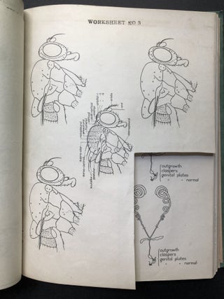 Drosophila Information Service (DIS) Bulletins 1936-1951