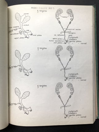 Drosophila Information Service (DIS) Bulletins 1936-1951